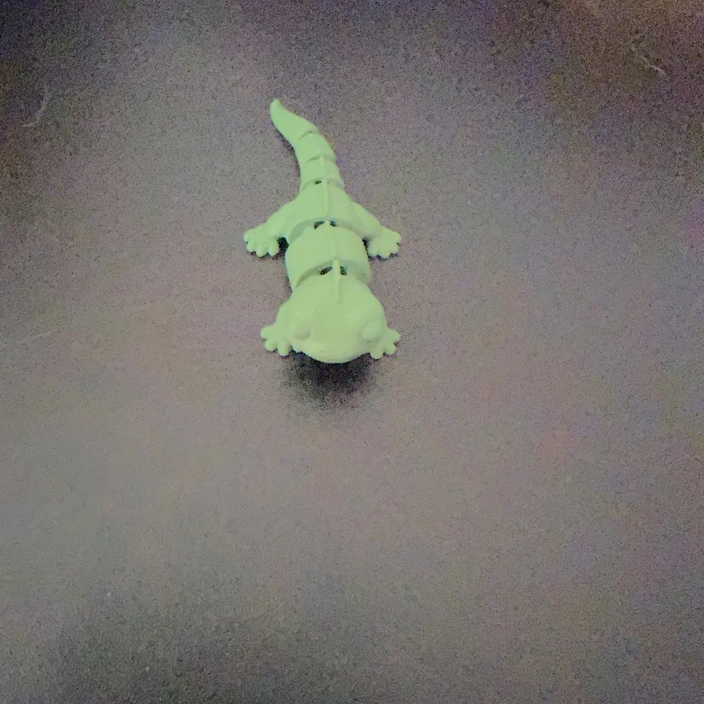 Lizard